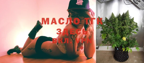 гашик Михайлов
