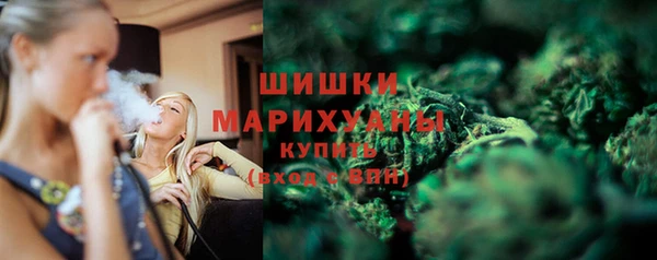 гашик Михайлов