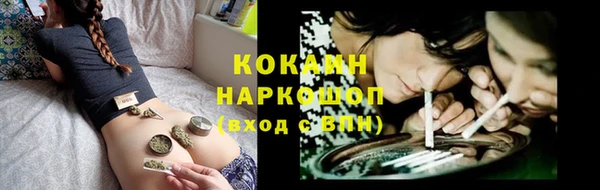гашик Михайлов