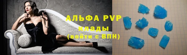 гашик Михайлов