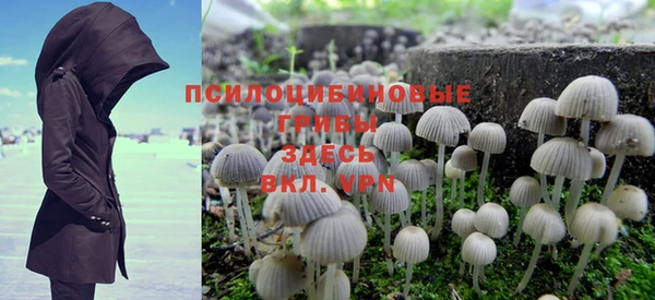 стафф Михайловка