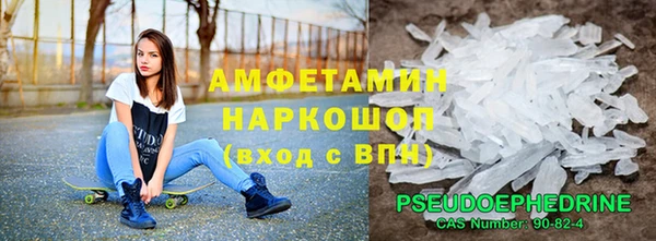 гашик Михайлов