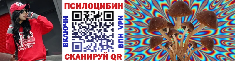 магазин    Севастополь  Галлюциногенные грибы MAGIC MUSHROOMS 