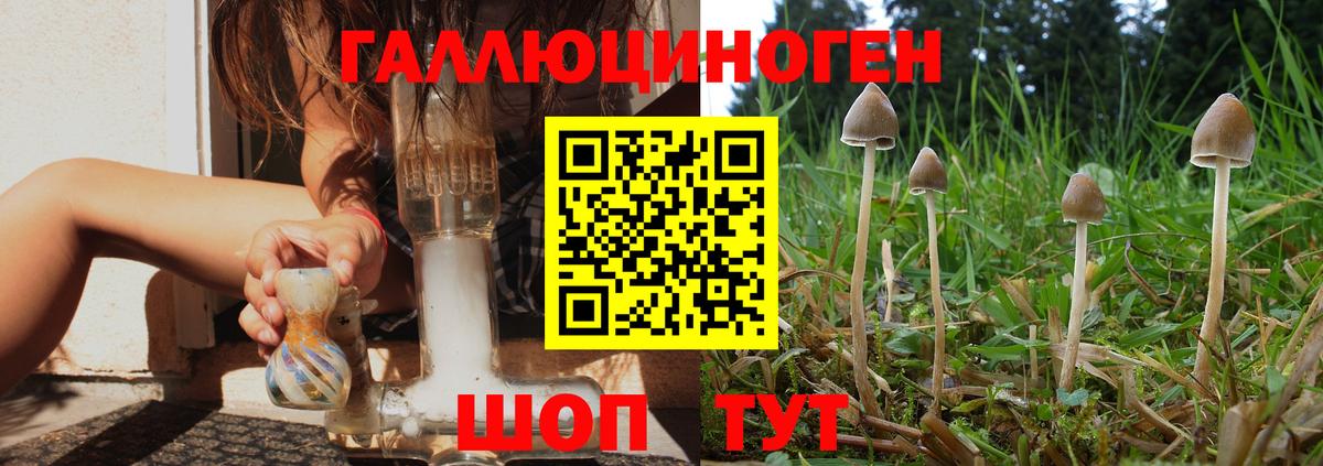 Галлюциногенные грибы прущие грибы  Севастополь 