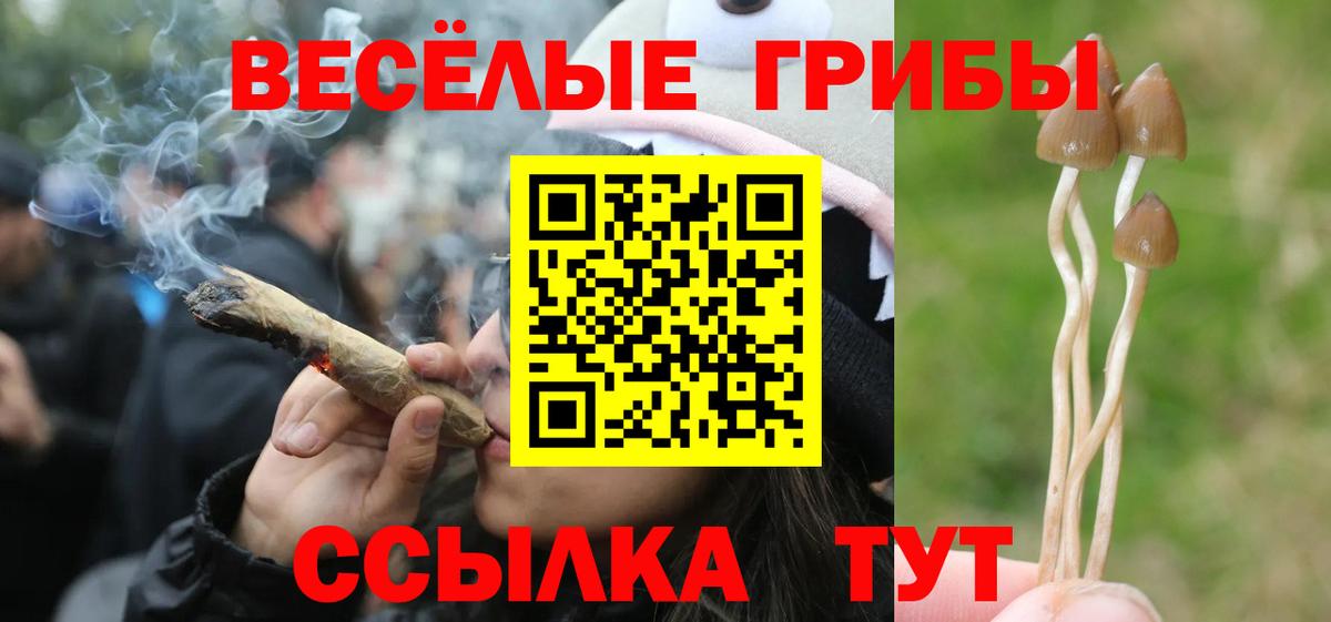 Псилоцибиновые грибы Psilocybine cubensis  Вход с VPN  Севастополь 