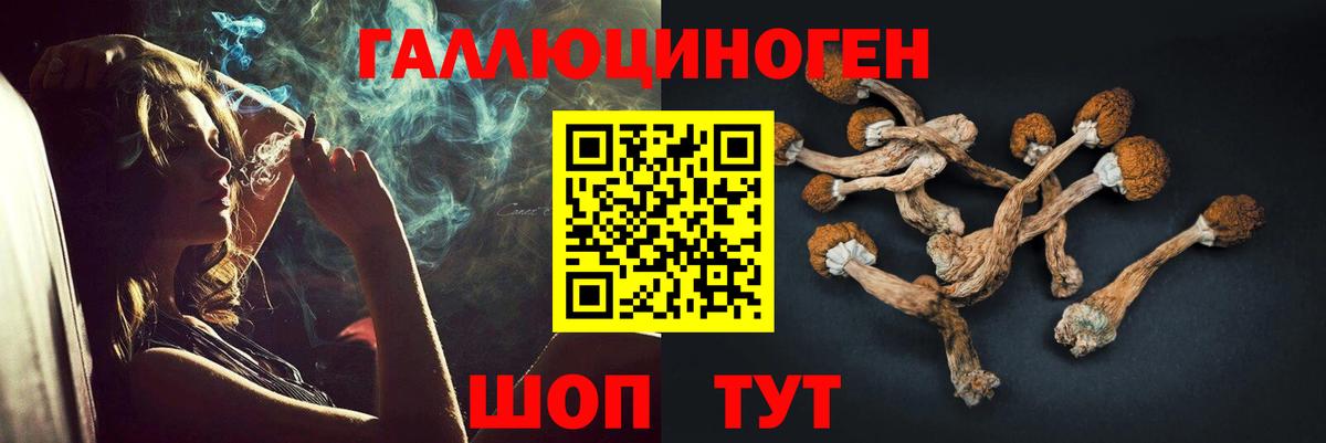 Псилоцибиновые грибы ЛСД Севастополь